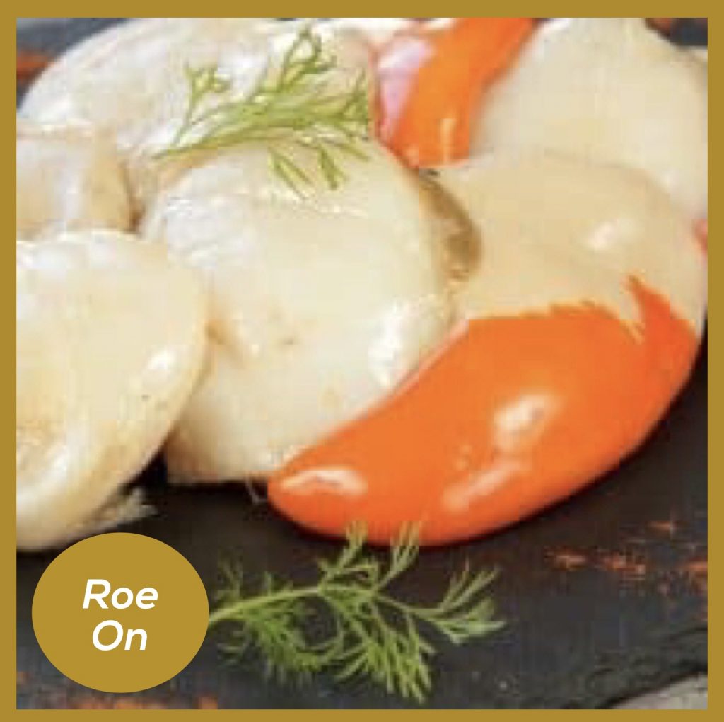 King Scallops ROE ON 750g (app.1416) Seafresh The Online Fishmonger