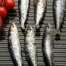 Whole Cornish Sardines -900g