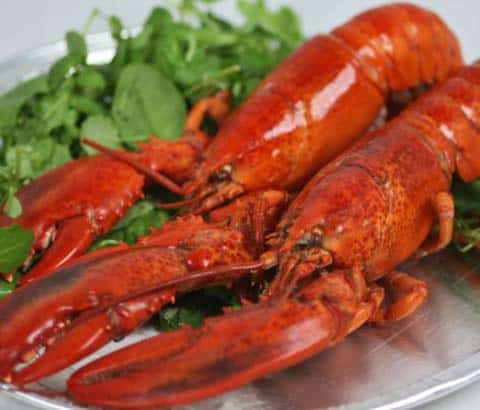 Buy Lobster - (whole & cooked) x 2 online