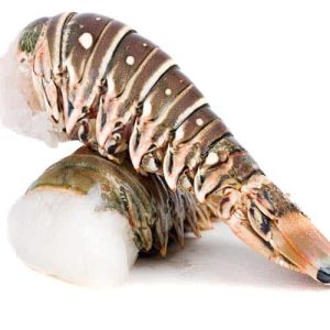 Seafood & Shellfish: Lobster Tails Large (2 x 7oz each) title=