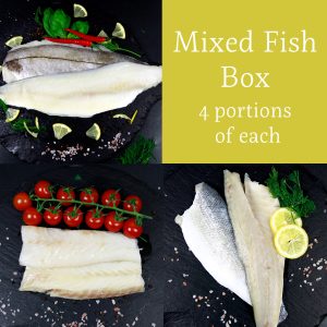 Frozen Haddock: Cod, Seabass & Haddock Fish Box -12 portions title=