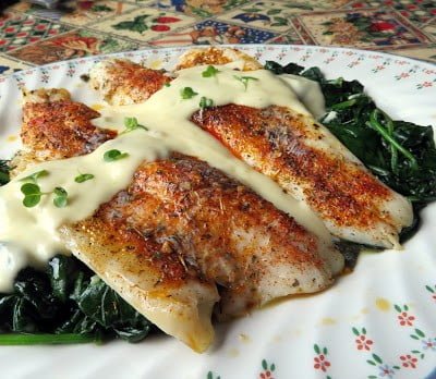 Roasted Seabass with Lemon & Parmesan Cream - Seafresh