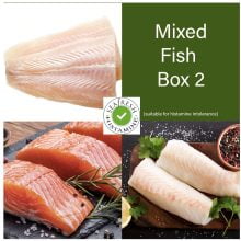 Salmon, Cod & Hake Fish Box   - 12 portions