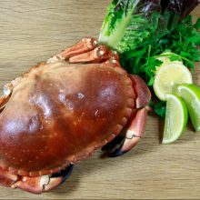 2 Whole Cooked Cromer Crab