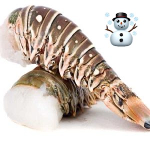 Seafood & Shellfish: Lobster Tails (WILD) 2 x 7oz title=