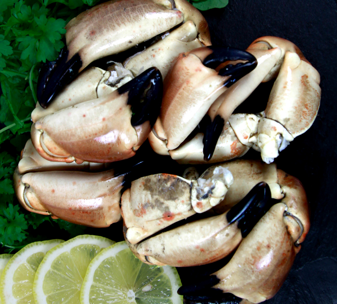 Buy Crab Claws 1kg (Cromer) online Buy Crab Claws 1kg (Cromer) online